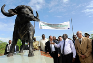 A bronze statue of a wild buffalo in Meru National Park, Kenya, celebrates the alst case of the disease in 2010