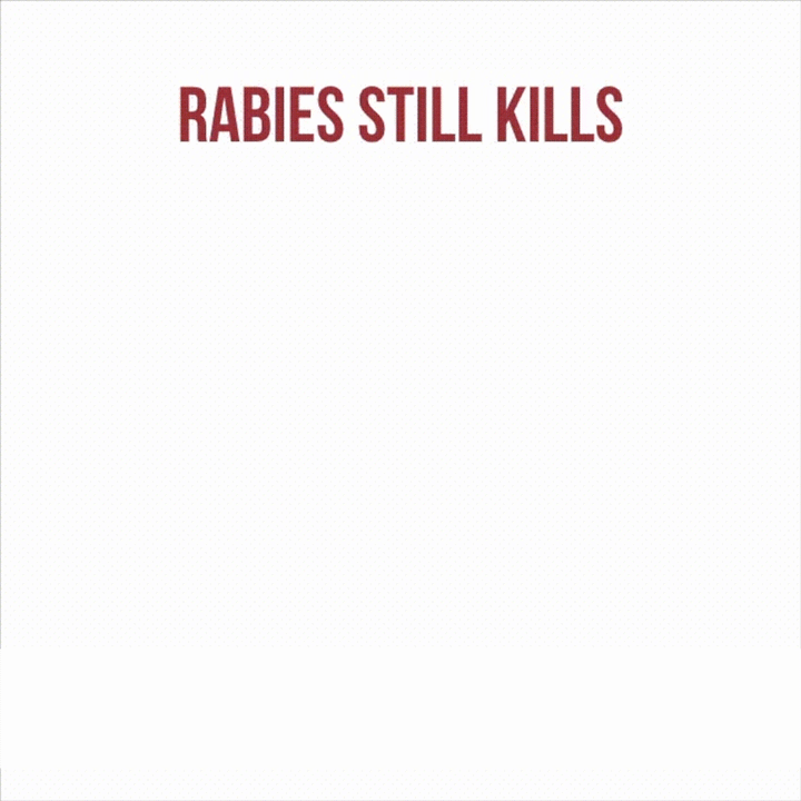 Rabies still kills, but it is preventable. Vaccinate your dogs.