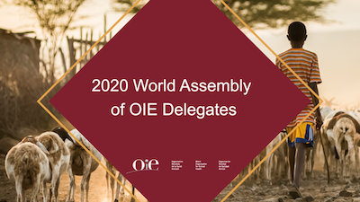 2020 World Assembly of OIE Delegates