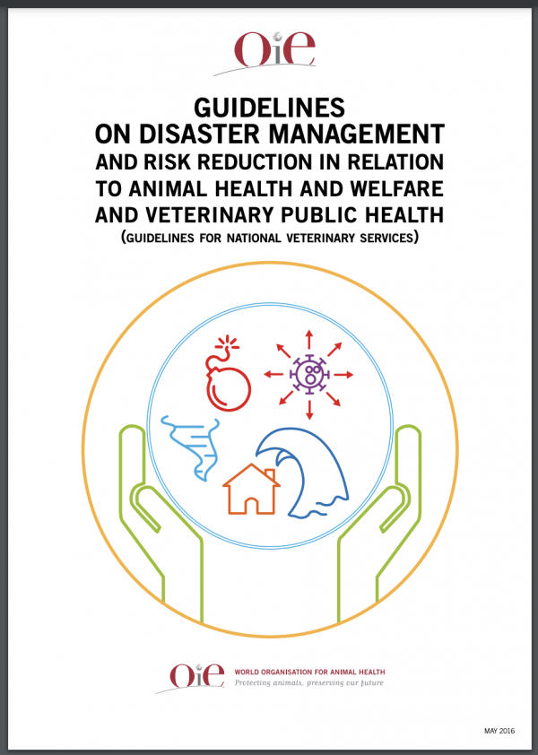 Guidelines on Disaster Management and Risk Reduction