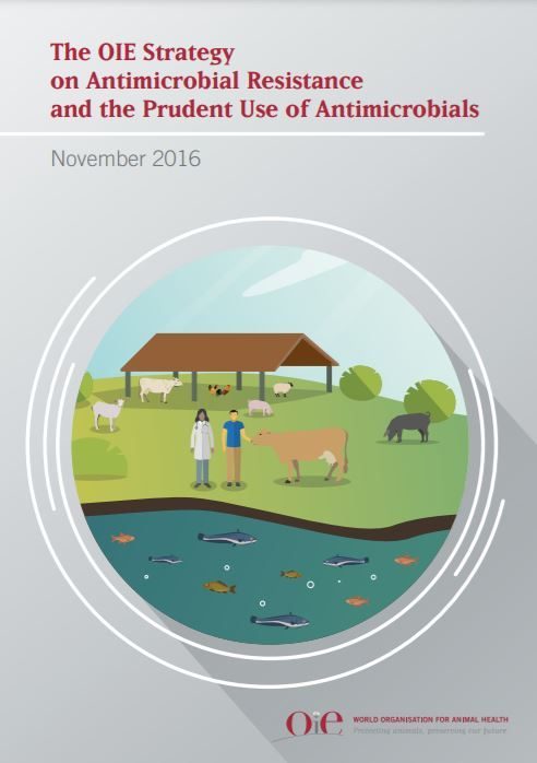 The OIE Strategy on Antimicrobial Resistance and the Prudent Use of Antimicrobials