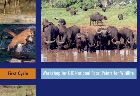 Training Manual on Wildlife Diseases and Surveillance