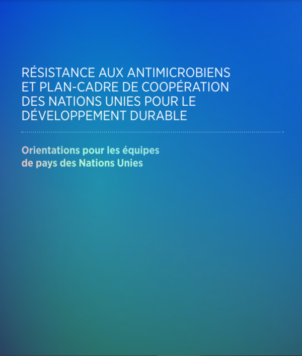 Résistance aux antimicrobiens et plan-cadre de coopération des Nations Unies pour le développement durable : orientations pour les équipes de pays des Nations Unies